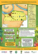 General Plan of Forest Management of the Native Community Palma Real