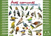 Aves comunes en la zona cafetera de Colombia