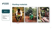 4.1 Planting And Rotation