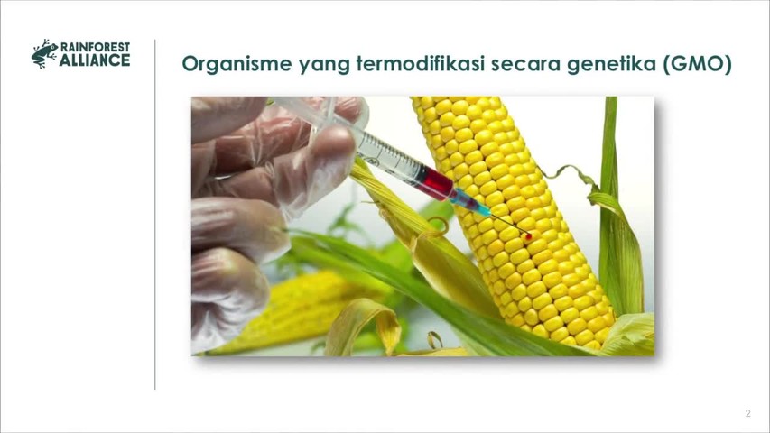ID - 4.3 GMOs