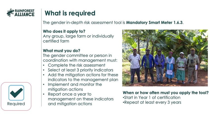 10. Gender in-depth risk assessment 1.6.3