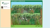 Weed management 3