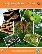 Vietnam Coffee Implementation Guide (Vietnamese)