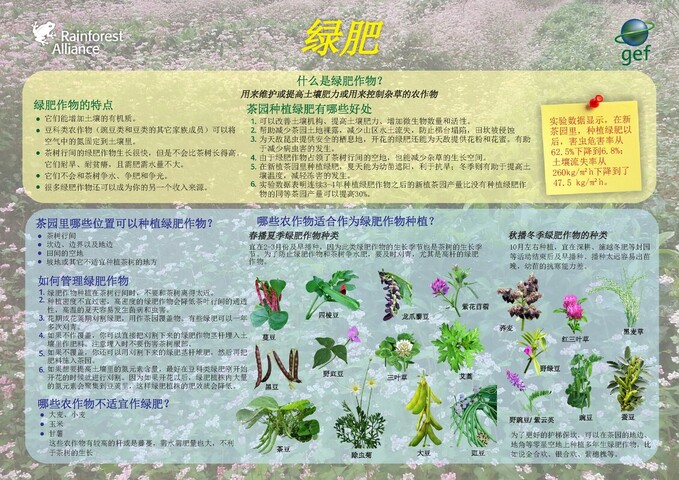GEF Green Manure Poster (Chinese) 