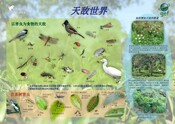 GEF Predator poster (China) 