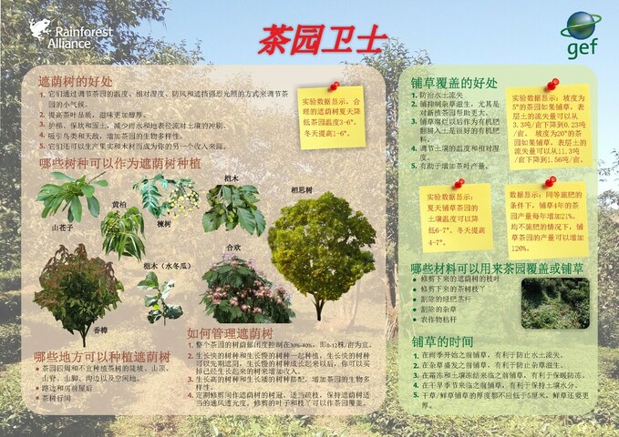GEF Shade Tree poster (Chinese)