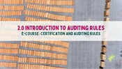 2.0 Auditing Rules