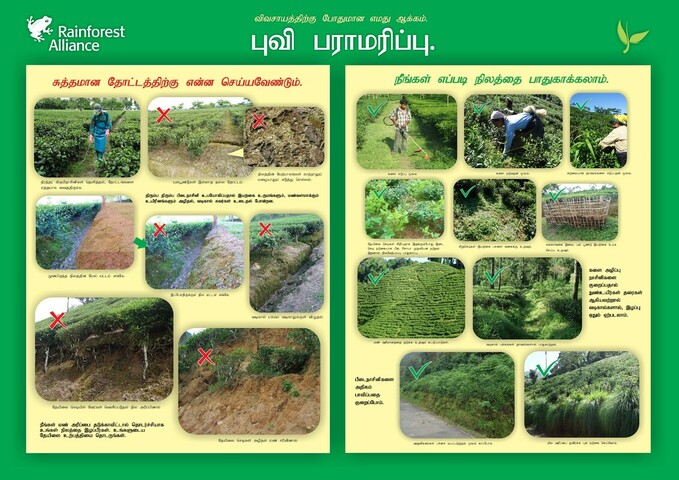 TAM - Soil conservation poster 