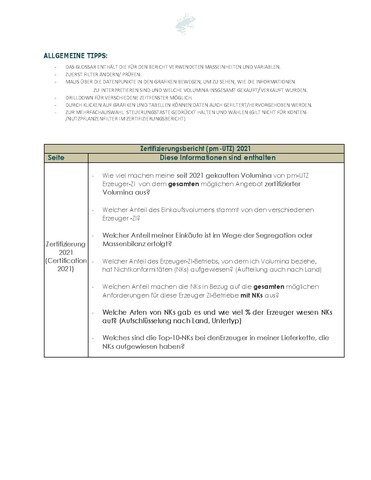 DE - One Pager - Power BI Customer Report.pdf