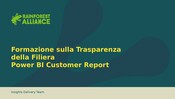 IT - Power BI App Customer Report